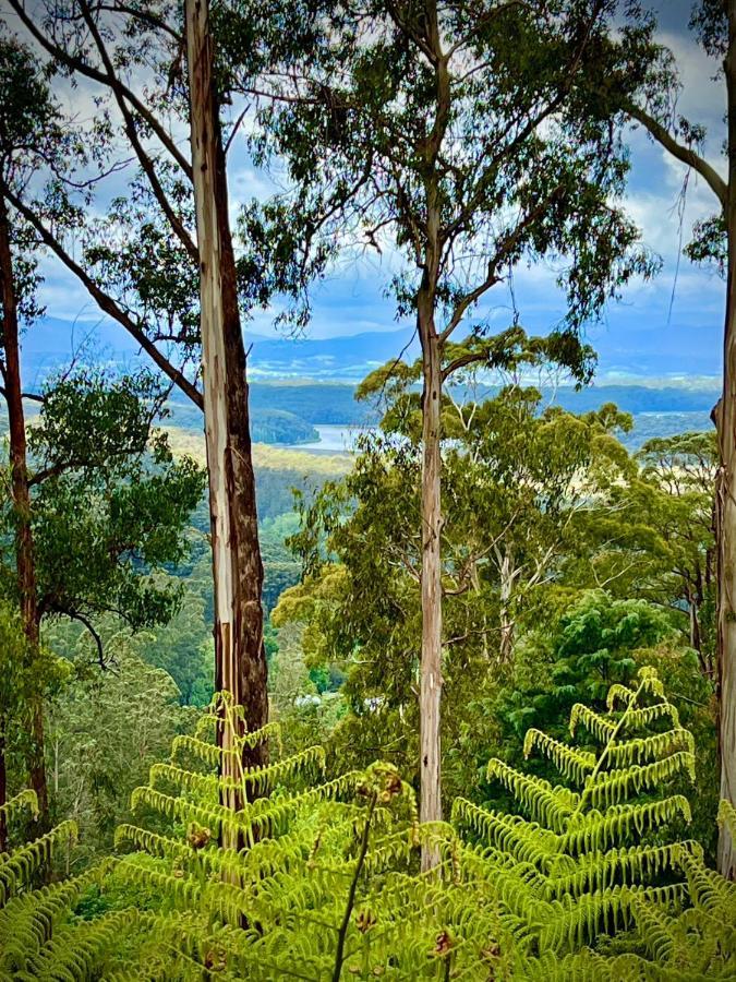 Melbourne Topview Villa In Dandenong Ranges Near Skyhigh Kalorama Exteriér fotografie