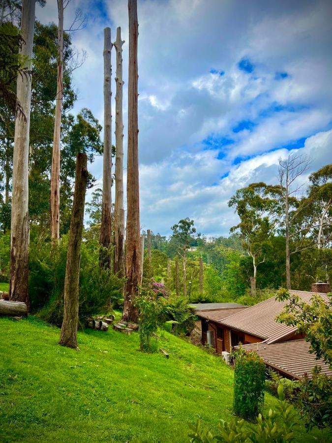 Melbourne Topview Villa In Dandenong Ranges Near Skyhigh Kalorama Exteriér fotografie