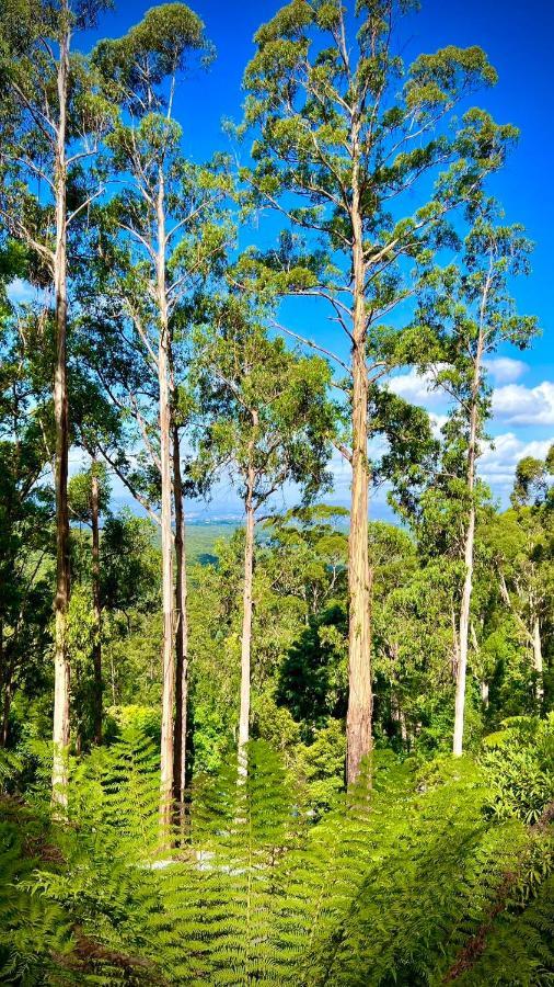 Melbourne Topview Villa In Dandenong Ranges Near Skyhigh Kalorama Exteriér fotografie