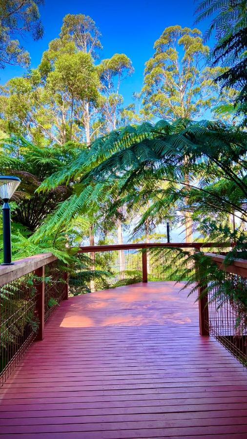 Melbourne Topview Villa In Dandenong Ranges Near Skyhigh Kalorama Exteriér fotografie