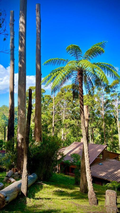 Melbourne Topview Villa In Dandenong Ranges Near Skyhigh Kalorama Exteriér fotografie