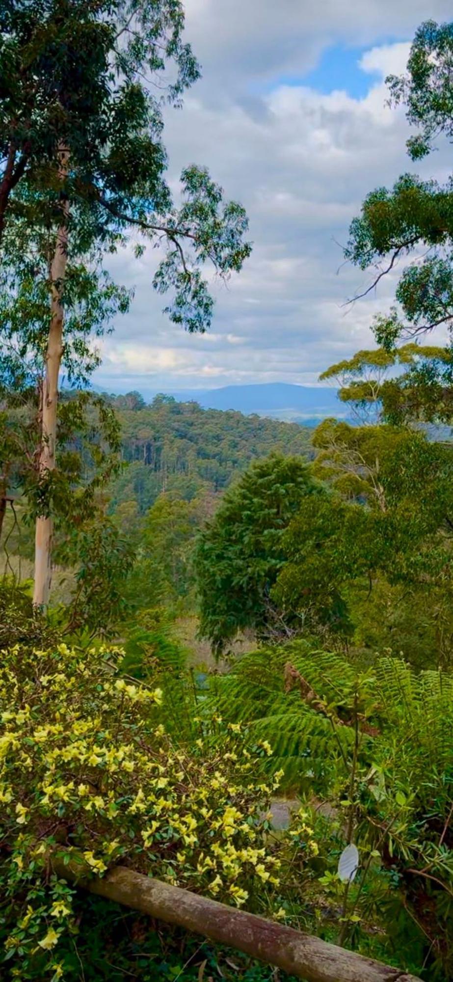 Melbourne Topview Villa In Dandenong Ranges Near Skyhigh Kalorama Exteriér fotografie