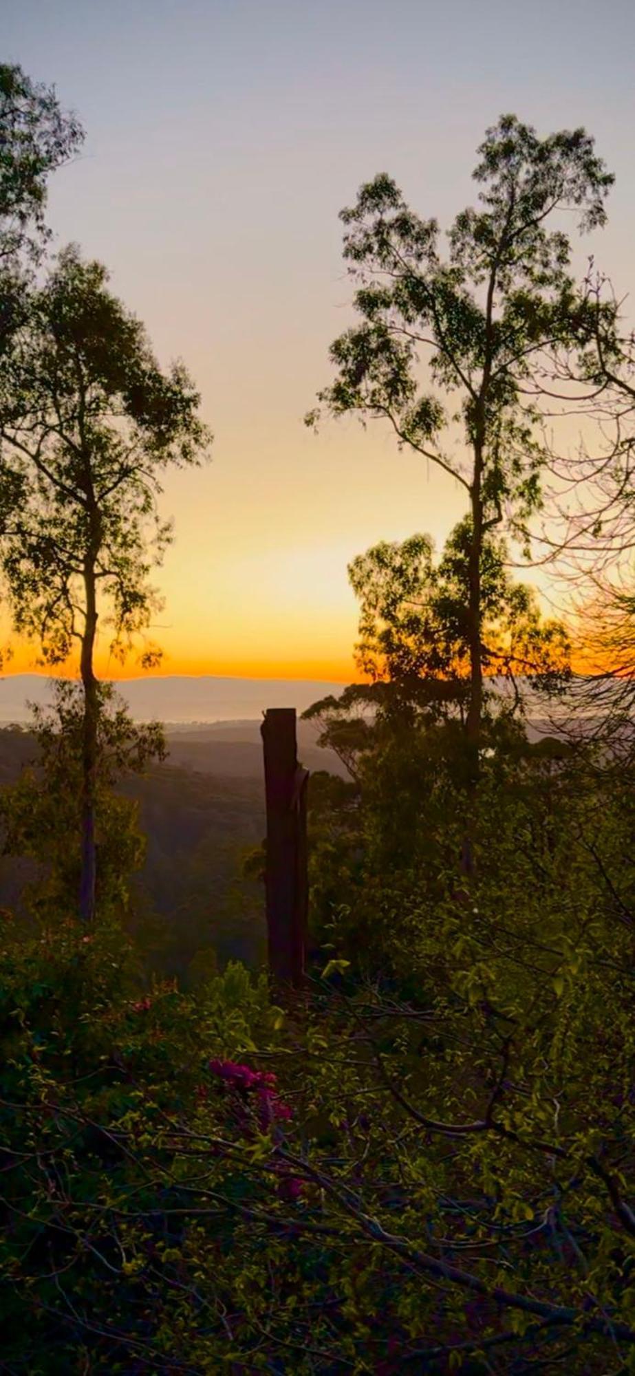 Melbourne Topview Villa In Dandenong Ranges Near Skyhigh Kalorama Exteriér fotografie