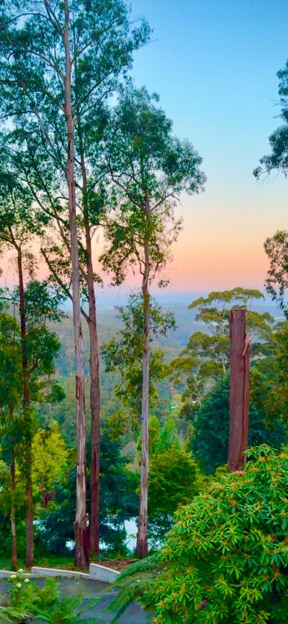 Melbourne Topview Villa In Dandenong Ranges Near Skyhigh Kalorama Exteriér fotografie