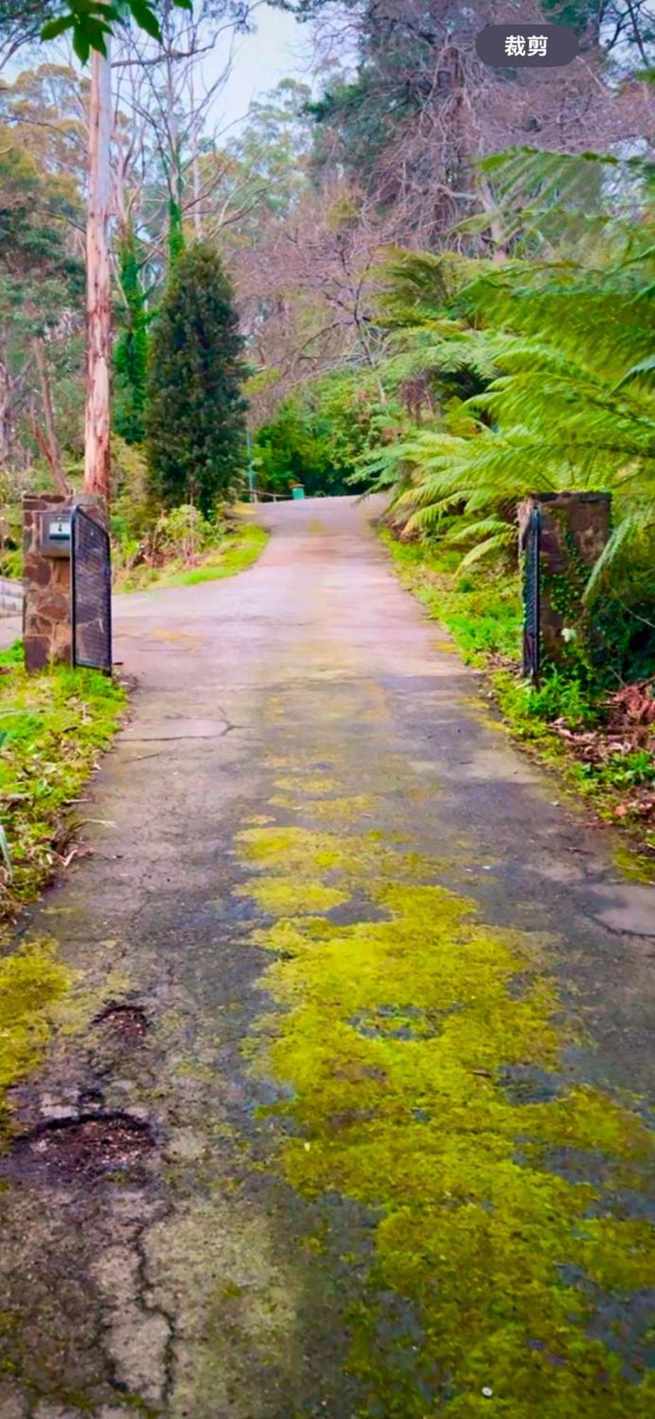 Melbourne Topview Villa In Dandenong Ranges Near Skyhigh Kalorama Exteriér fotografie